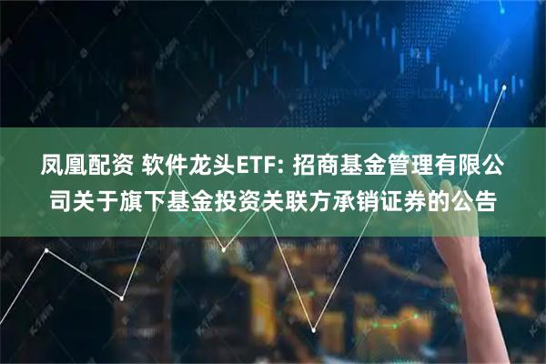 凤凰配资 软件龙头ETF: 招商基金管理有限公司关于旗下基金投资关联方承销证券的公告