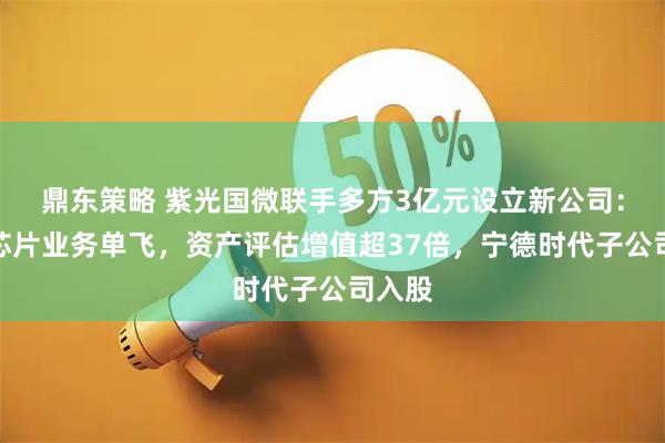 鼎东策略 紫光国微联手多方3亿元设立新公司:汽车芯片业务单飞,资产评估增值超37倍,宁德时代子公司入股