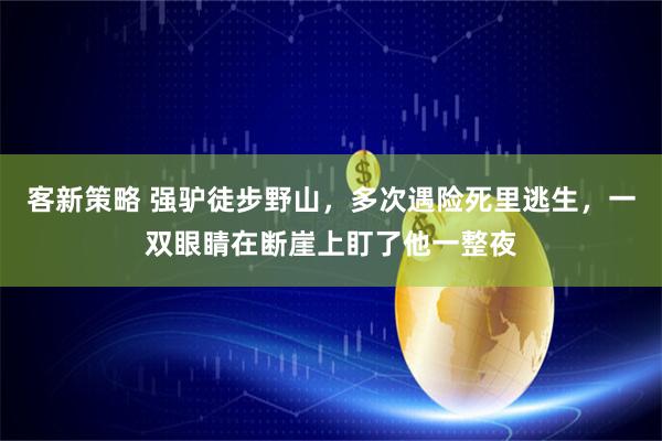 客新策略 强驴徒步野山，多次遇险死里逃生，一双眼睛在断崖上盯了他一整夜